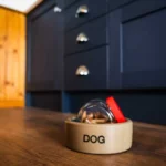 Shepherds-Lodge-Cockfield-5-Star-AirBnb-County-Durham-052_1